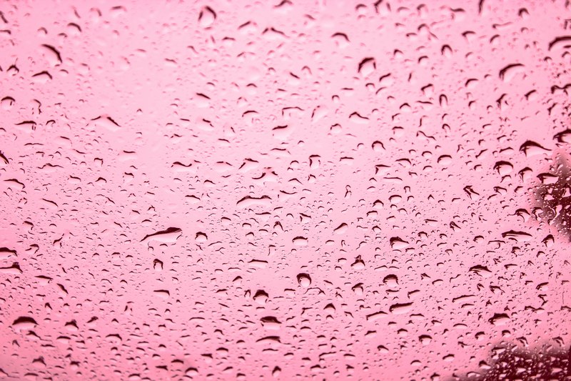 Tacoma windshield coating in WA near 98404